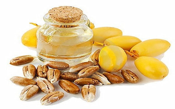 تصویر 5 از قیمت خرید روغن هسته خرما اصل با فروش عمده